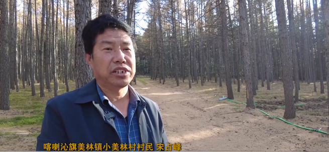 喀喇沁旗:特色产业闯新路 绿色发展劲头足4.png