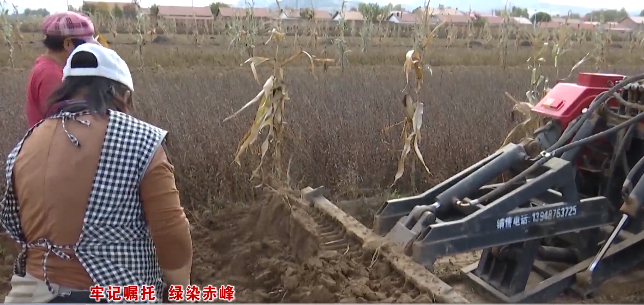 喀喇沁旗:特色产业闯新路 绿色发展劲头足5.png