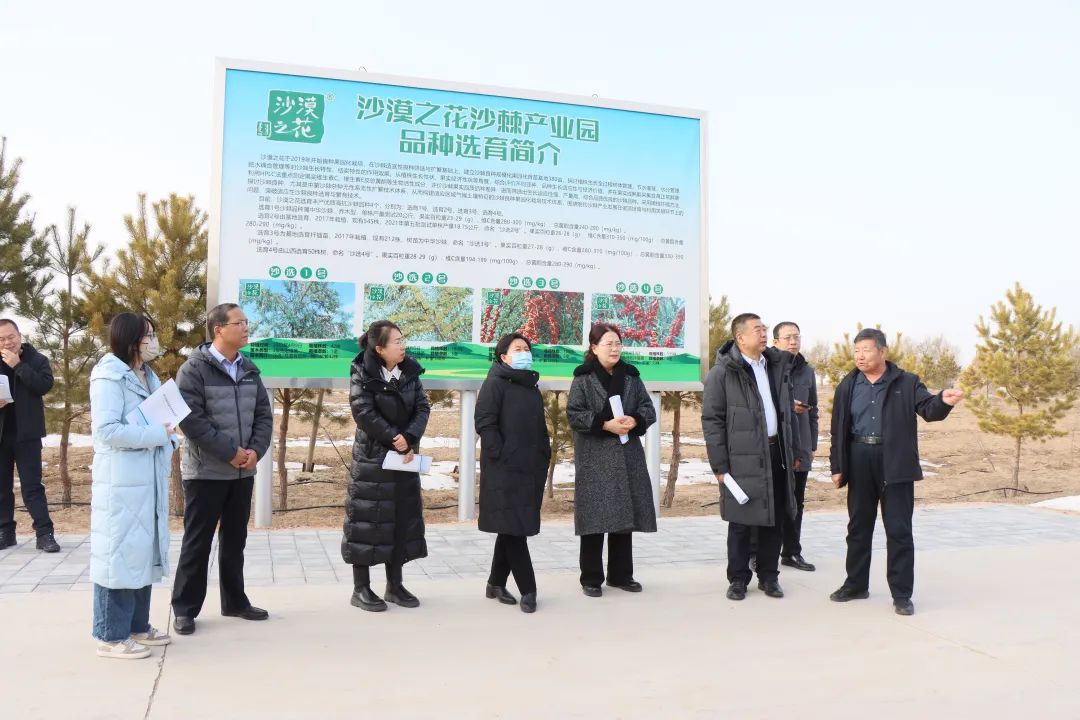 2调研组一行在内蒙古沙漠之花生态产业科技有限公司沙棘产业园调研.jpg